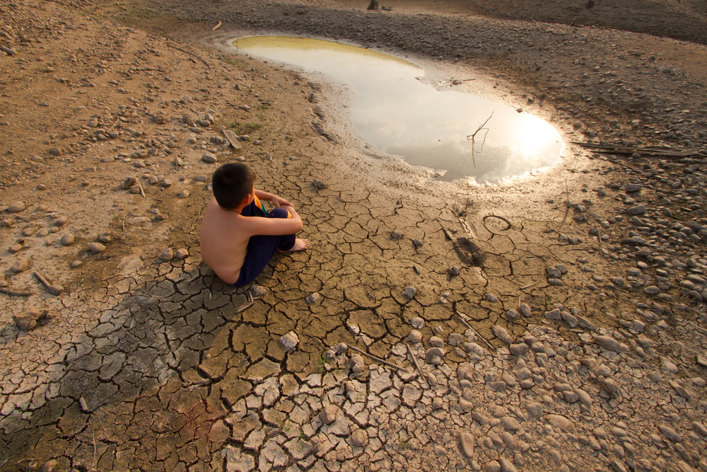 réchauffement climatique