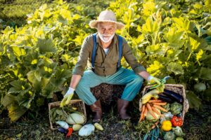 24 associations de légumes