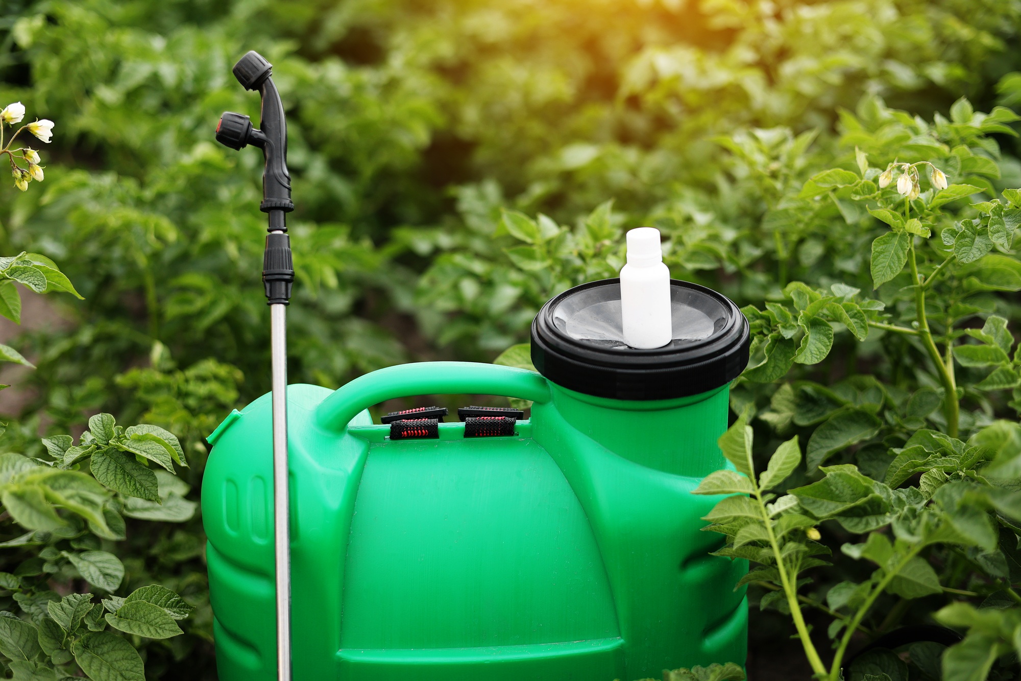 White little bottle of pesticide, herbicide for protecting plants from diseases and pests with mock